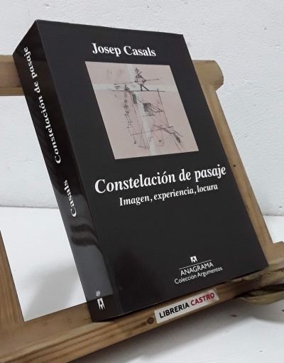 Constelación de pasaje. Imagen, experiencia, locura - Josep Casals