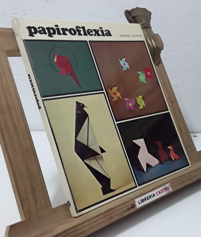 Papiroflexia - Rosa Mesalles