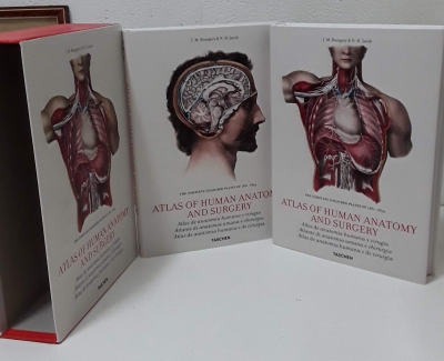 Atlas of human anatomy and surgery (II Tomos) - J. M. Bourgery & N. H. Jacob