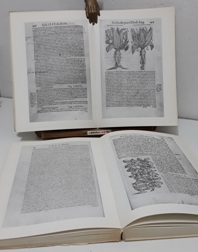 Pedacio Dioscórides Anazarbeo (1555) Ahora nuevamente publicado (II Tomos, Numerado) - Andrés Laguna.