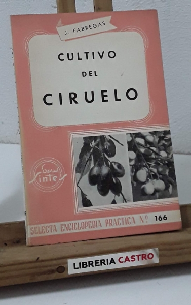 Cultivo del ciruelo - Joaquín Fábregas Ruíz