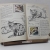 Un libro de oro de estampas. Gatos (Completo, 40 cromos)