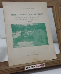 Sabios y guerreros mayas de Yucatán - Profesor Víctor Echevarría Pérez