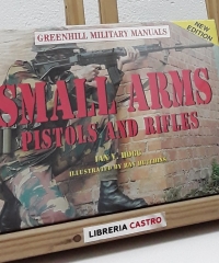 Small arms. Pistols and rifles - Ian V. Hogg