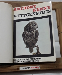 Wittgenstein - Anthony Kenny.