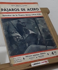 Pájaros de acero. Epísodios de la Guerra Aérea 1914-1918 - Carlos Martínez Campos
