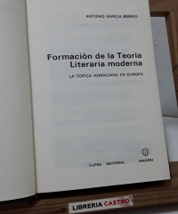 Formación de la teoría literaria moderna - Antonio García Berrio.