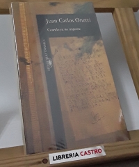 Cuando ya no importe - Juan Carlos Onetti