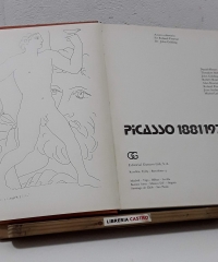 Picasso 1881 - 1973 - Varios