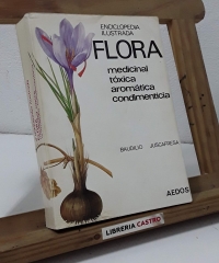 Enciclopedia Ilustrada Flora. Medicinal, Tóxica, Aromática, Condimenticia - Baudilio Juscafresa