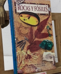 Rocas y fósiles - Arthur B. Busbey III, Robert R. Coenraads, Paul Willis, David Rots